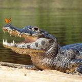 GEO Leserfoto: Die besten Leserfotos: August 2014 - Bild 17