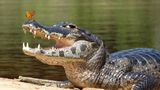 GEO Leserfoto: Die besten Leserfotos: August 2014 - Bild 17