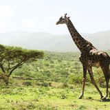 GEO Leserfoto: Die besten Leserfotos: August 2014 - Bild 19