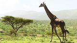 GEO Leserfoto: Die besten Leserfotos: August 2014 - Bild 19