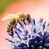 GEO Leserfoto: Die besten Leserfotos: August 2014 - Bild 20