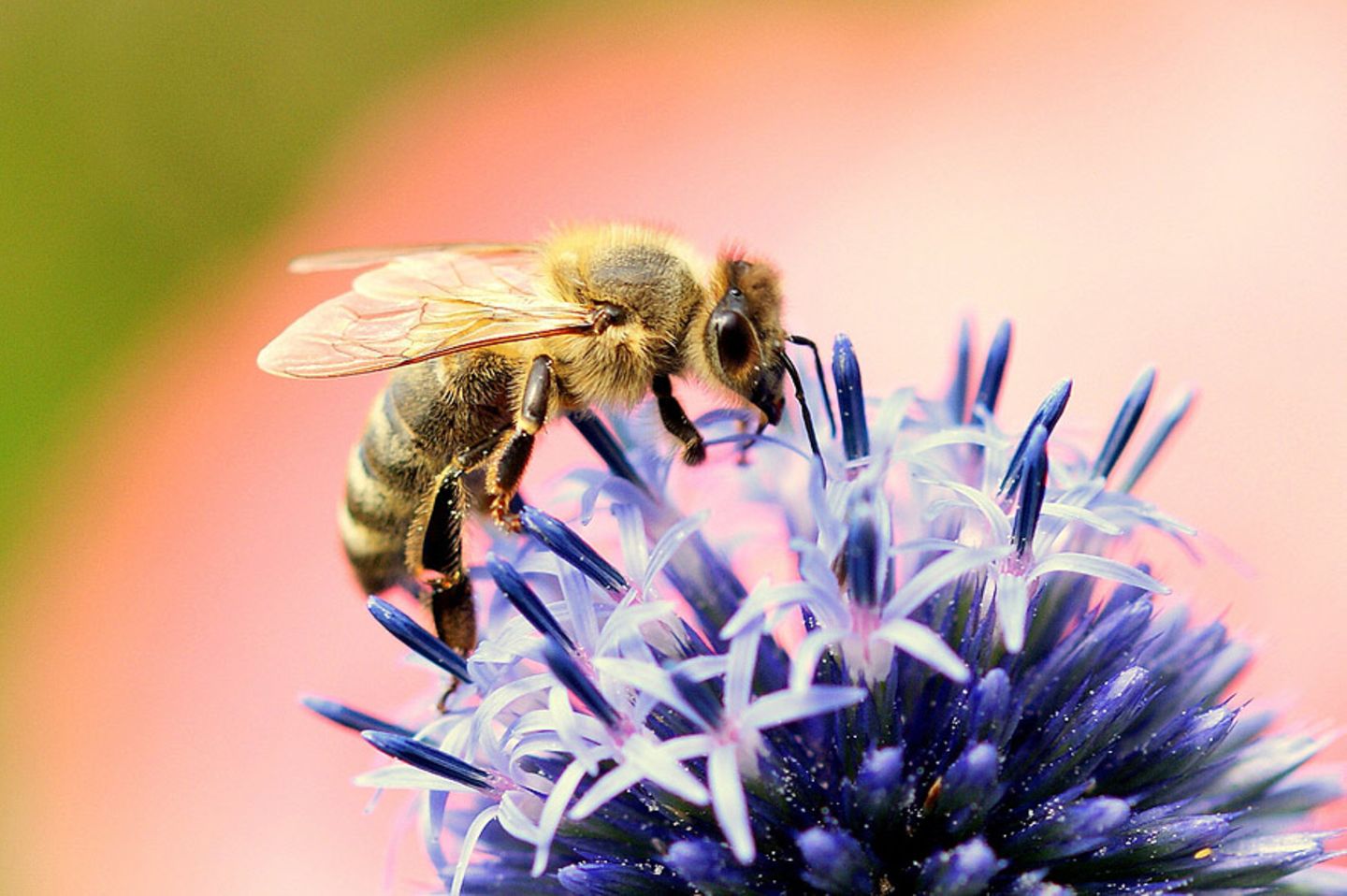 GEO Leserfoto: Die besten Leserfotos: August 2014 - Bild 20