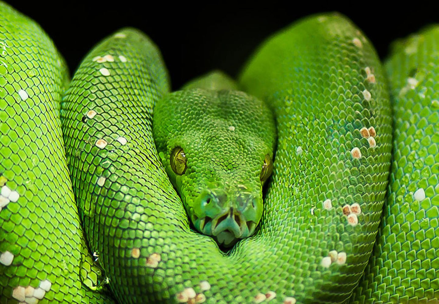 GEO Leserfoto: Die besten Leserfotos: August 2014 - Bild 21