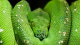 GEO Leserfoto: Die besten Leserfotos: August 2014 - Bild 21