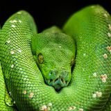 GEO Leserfoto: Die besten Leserfotos: August 2014 - Bild 21