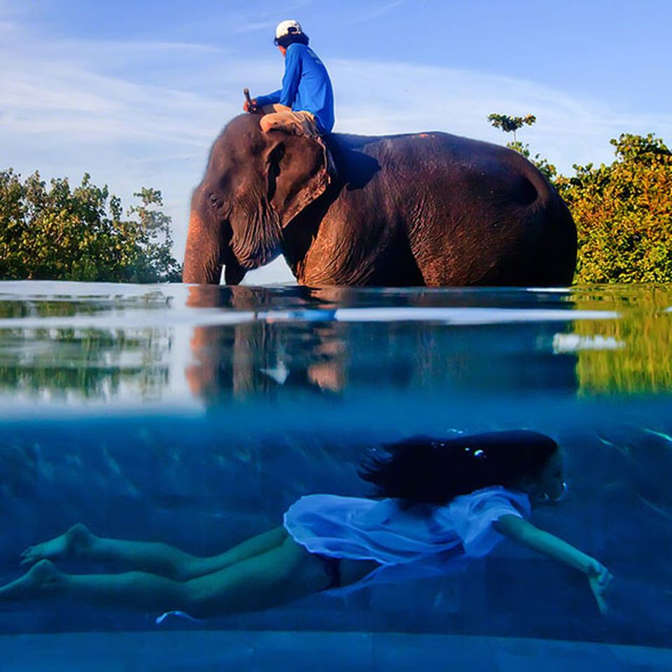 One Shot, Extraordinary – Winner: Justin Mott, USA