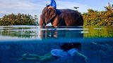 One Shot, Extraordinary – Winner: Justin Mott, USA
