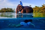 One Shot, Extraordinary – Winner: Justin Mott, USA