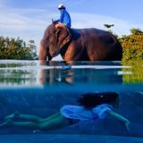 One Shot, Extraordinary – Winner: Justin Mott, USA