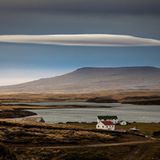 Wild Stories, Commended: Tim Taylor, UK