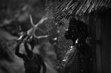 Cutty Sark Award for the Travel Photographer of the Year 2013: Timothy Allen, UK