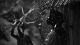 Cutty Sark Award for the Travel Photographer of the Year 2013: Timothy Allen, UK