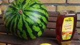 Rezept: Melonensorbet