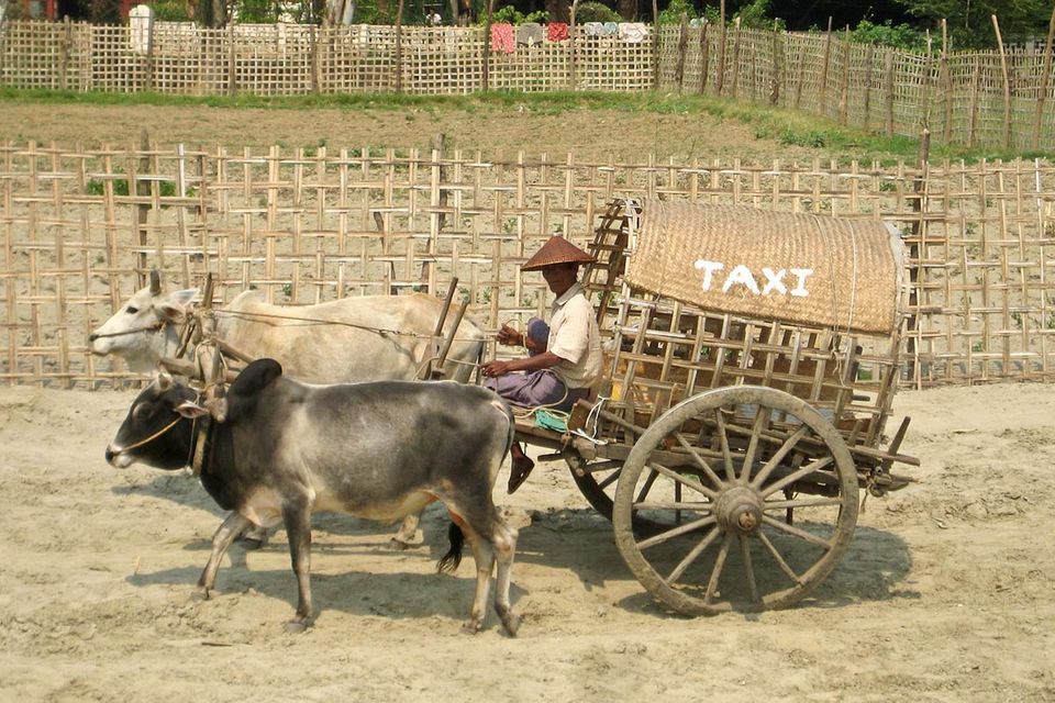 Fotowettbewerb: Mit dem Taxi um die Welt