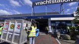 Vier Pfoten: Neues Leben für Zirkuslöwen - Bild 8