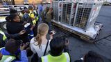 Vier Pfoten: Neues Leben für Zirkuslöwen - Bild 9