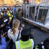 Vier Pfoten: Neues Leben für Zirkuslöwen - Bild 9