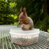 Wildtierstation: Ein Krankenhaus für Fuchs und Hase