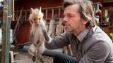 Fotogalerie: Ein Krankenhaus für Fuchs und Hase - Bild 2