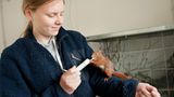 Fotogalerie: Ein Krankenhaus für Fuchs und Hase - Bild 6