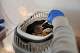Fotogalerie: Ein Krankenhaus für Fuchs und Hase - Bild 7