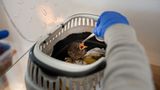 Fotogalerie: Ein Krankenhaus für Fuchs und Hase - Bild 7