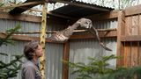 Fotogalerie: Ein Krankenhaus für Fuchs und Hase - Bild 8