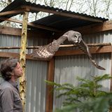 Fotogalerie: Ein Krankenhaus für Fuchs und Hase - Bild 8
