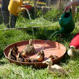 Fotogalerie: Ein Krankenhaus für Fuchs und Hase - Bild 9