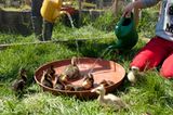 Fotogalerie: Ein Krankenhaus für Fuchs und Hase - Bild 9