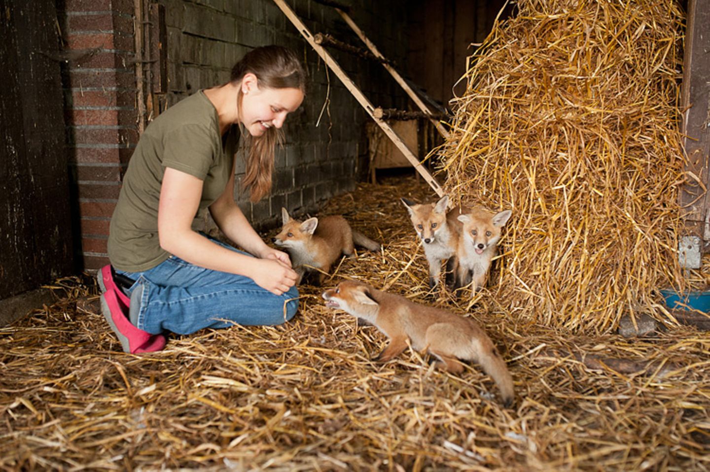 Fotogalerie: Ein Krankenhaus für Fuchs und Hase - Bild 10