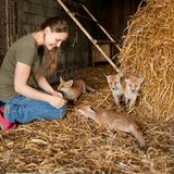 Fotogalerie: Ein Krankenhaus für Fuchs und Hase - Bild 10