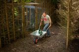 Fotogalerie: Ein Krankenhaus für Fuchs und Hase - Bild 11