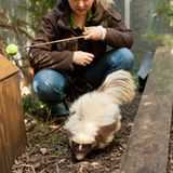 Fotogalerie: Ein Krankenhaus für Fuchs und Hase - Bild 12