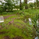 Fotogalerie: Ein Krankenhaus für Fuchs und Hase - Bild 14