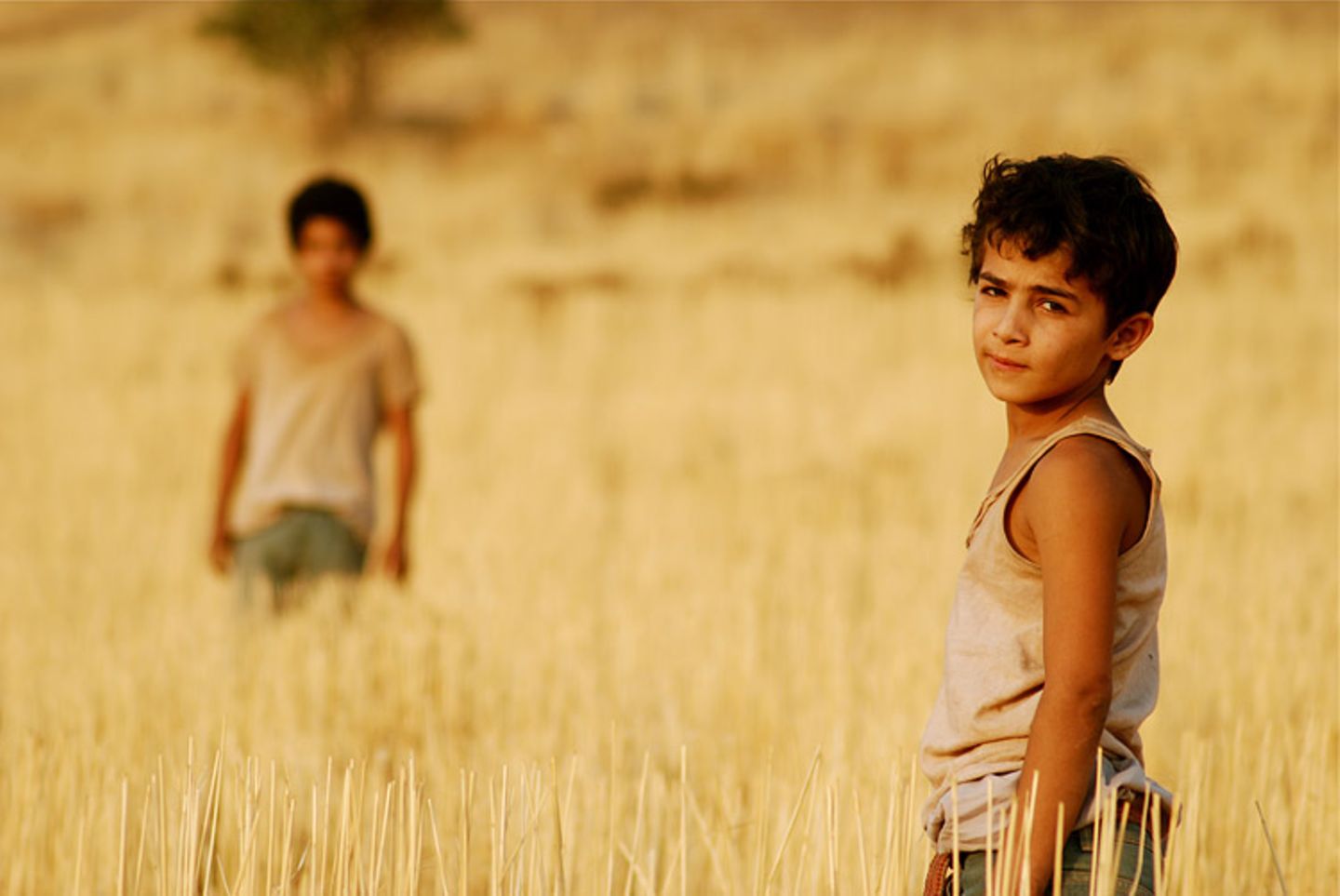 DVD: DVD-Tipp: Bekas - Bild 6