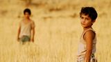 DVD: DVD-Tipp: Bekas - Bild 6