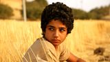 DVD: DVD-Tipp: Bekas - Bild 7
