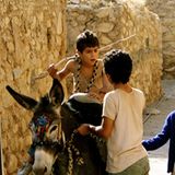 DVD: DVD-Tipp: Bekas - Bild 12