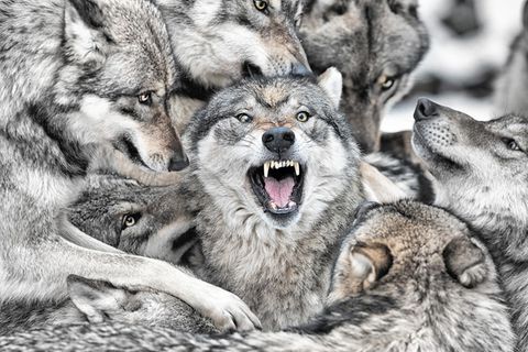 Fotogalerie: Die Natur in Bildern