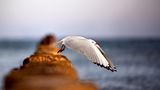 Abflug
