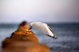 Abflug