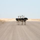 Man trifft sich leider so selten