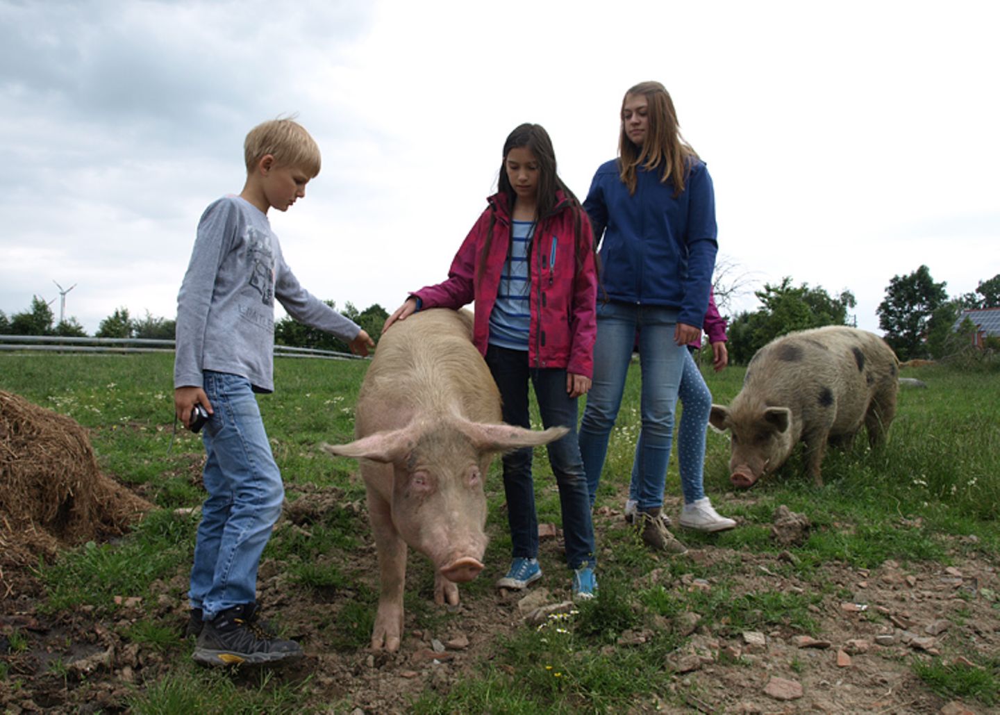 Tierschutz: Kinder für Schweine