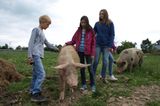 Tierschutz: Kinder für Schweine