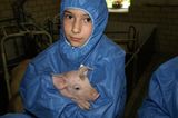 Tierschutz: Kinder für Schweine - Bild 3
