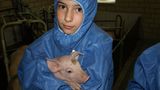 Tierschutz: Kinder für Schweine - Bild 3