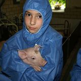 Tierschutz: Kinder für Schweine - Bild 3