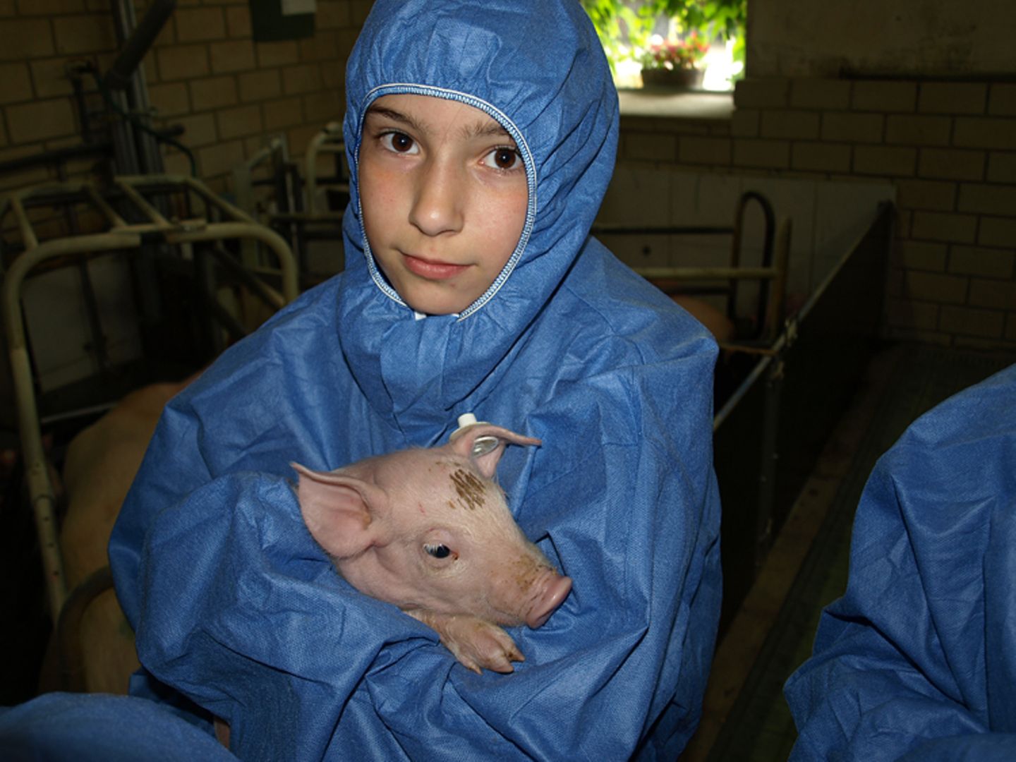 Tierschutz: Kinder für Schweine - Bild 3