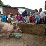 Tierschutz: Kinder für Schweine - Bild 6